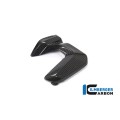 Ilmberger Carbon Spark Plug Cover, Left Side for the BMW R 1250 R/RS/GS/GS Adventure 2019